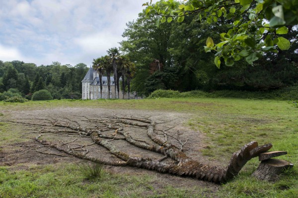 Chez madame D. - Serpent de l'Eden - Pleumeur-Bodou 2014 - Juin 2014