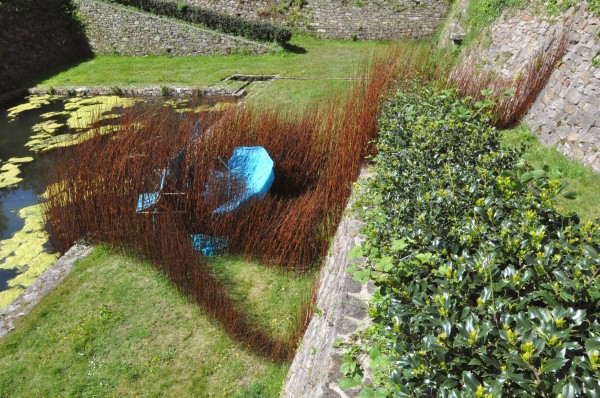 Plante invasive, Château de la Roche Jagu, Ploëzal 2019 -  