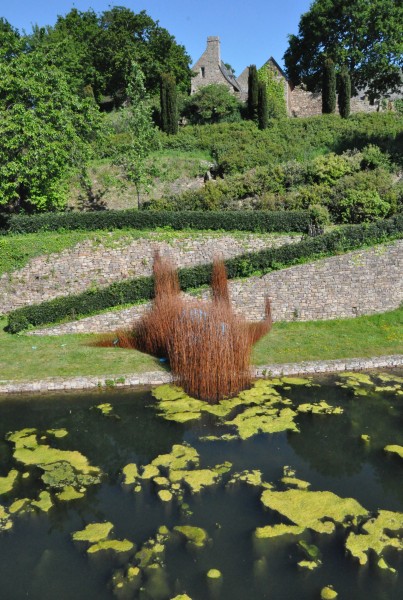 Plante invasive, Château de la Roche Jagu, Ploëzal 2019 -  