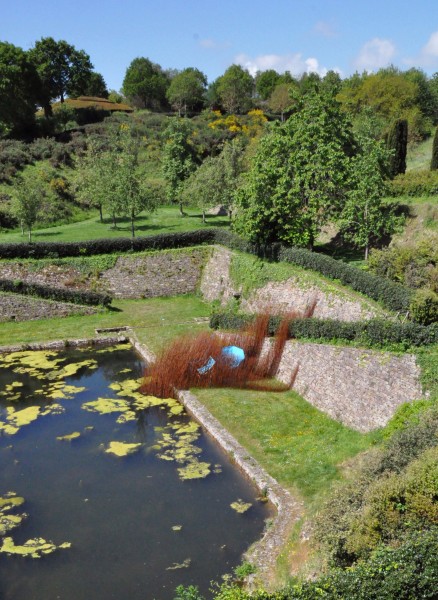 Plante invasive, Château de la Roche Jagu, Ploëzal 2019 -  