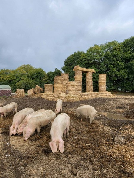 3 petits cochons - Elévation sud-ouest